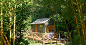 Kingfisher Yurt - hut exterior, Wendover, Buckinghamshire