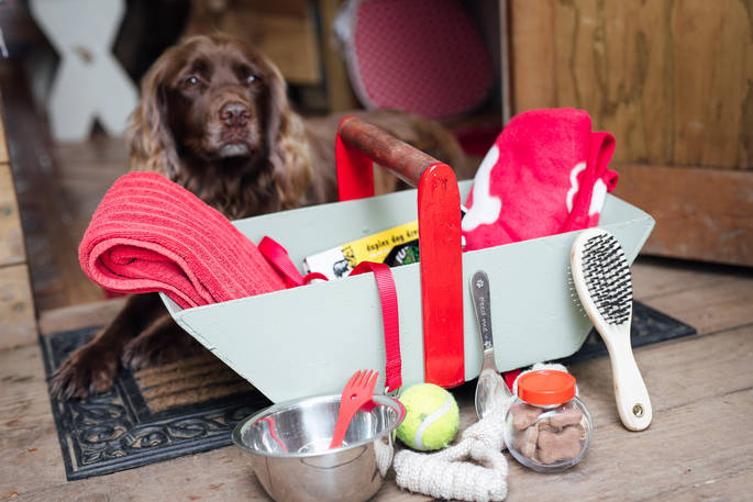 Doggy box which is provided for guests staying at Fairfield at Acorn Farm in Devon