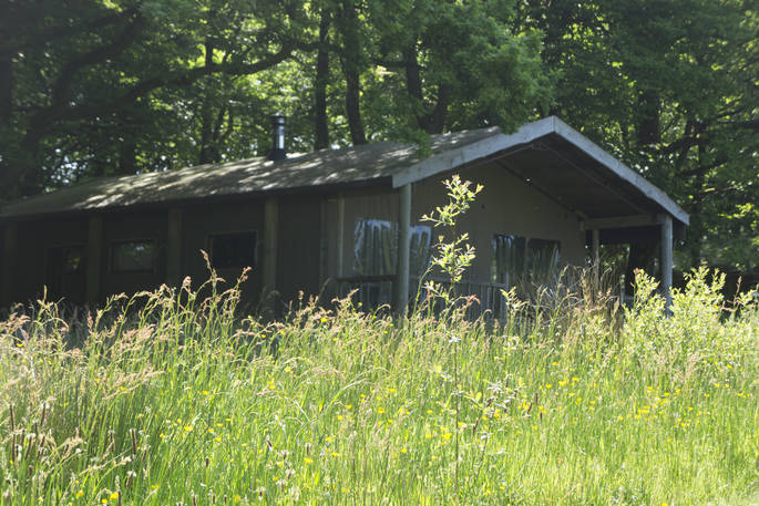 Exterior of Hartland safari tent at Berridon Farm, surrounded by grassy meadows