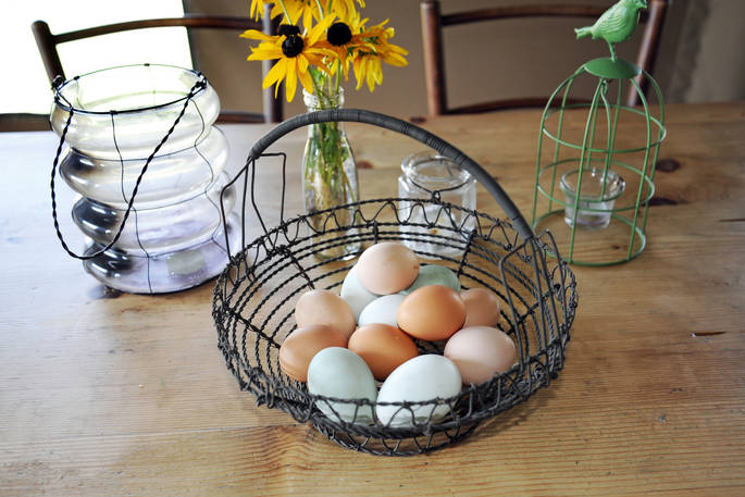 Brownscombe chicken's eggs