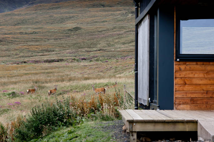 Black Shed cabin deers - Jamie Simpson photography