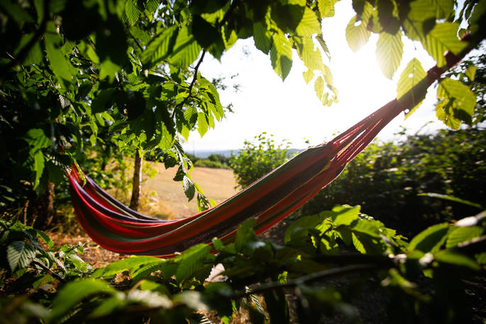 Relax in the comfortable hammock at Dragon's Cruck, Sunnylea