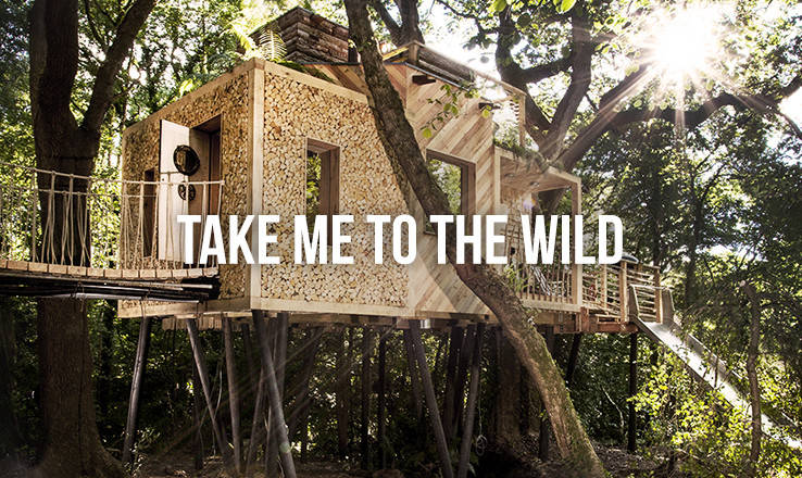Take me to the wild